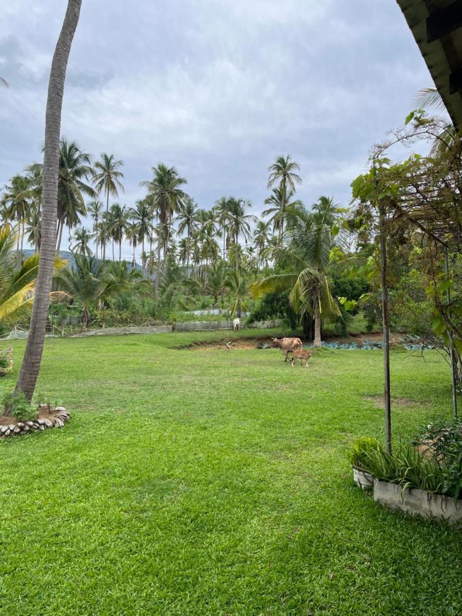 Rivendell Twisted Tree Villa Kurunegala Exteriör bild